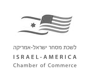 AMCHAM-logo